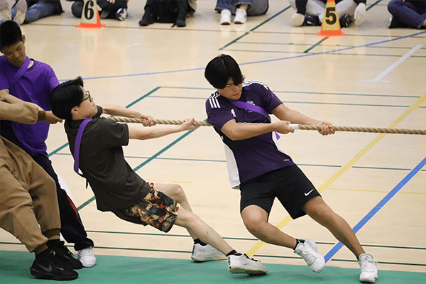 スポーツフェスティバル